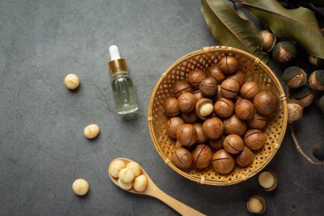 Orzechy macadamia – skarb Australii